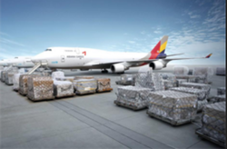Air Import Services